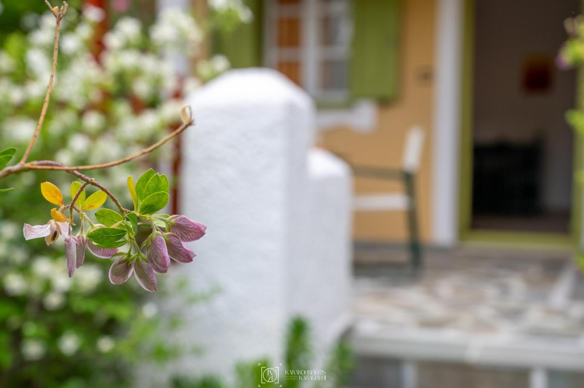 Pleiades Samos Apartment Marathókampos Exterior foto